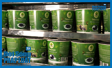 Thạch Đen - Món ăn giải nhiệt, nhiều công dụng chữa bệnh