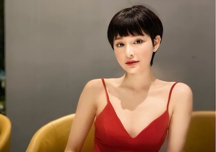 Hiền Hồ từng gây 