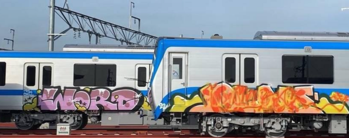 Khôi phục 2 toa tàu Metro tuyến TP. HCM - Suối Tiên bị vẽ bậy