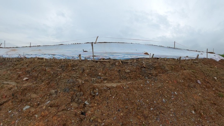 Thanh Hoá: Đê tả sông Mã sụt lún, đe doạ an toàn hơn 29.000 người dân