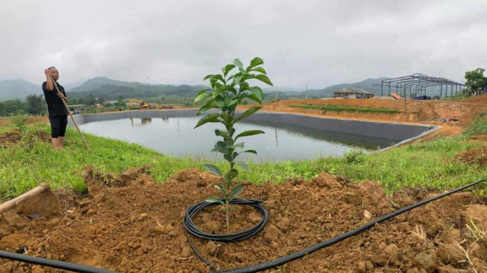 Hà Tĩnh: Phát hiện nam công nhân tử vong tại hồ chứa nước công ty