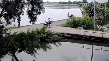 Video: Xe máy mất lái lao thẳng xuống ao do phóng nhanh