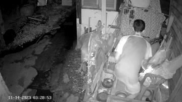 "Bé na " đột kích ăn thịt mèo, người đàn ông lập tức ra tay khống chế