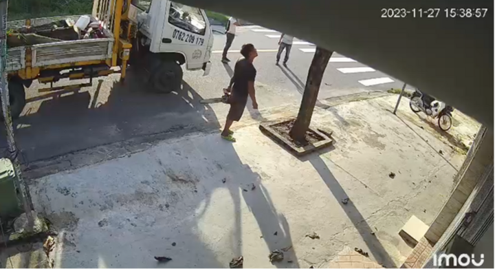 Đốn hạ cây nhưng không báo trước, công ty phải đền bù 12 triệu đồng cho chủ nhà