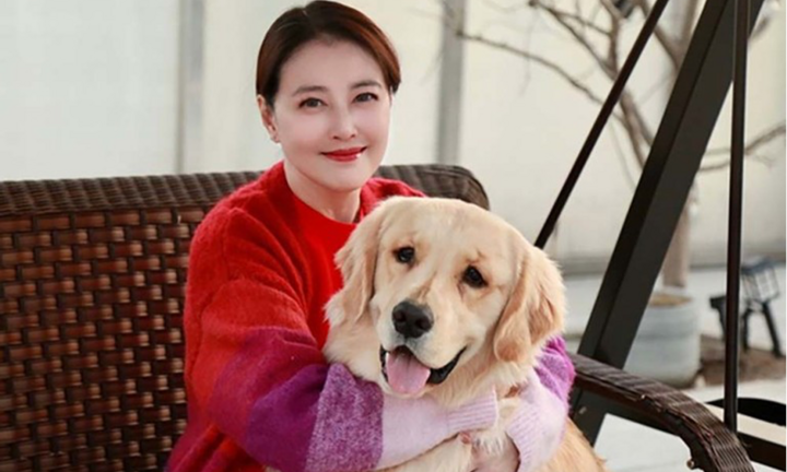 Người thừa kế gia tài 1.600 tỷ của Châu Hải My là ai?