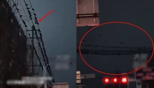 Kinh ngạc những hiện tượng kỳ lạ trước khi xảy ra động đất tại Trung Quốc khiến 118 người thiệt mạng