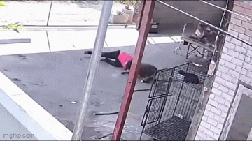 Kinh hoàng chó Pitbull hung hăng tấn công khiến người phụ nữ
