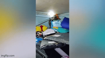 Gia đình hoảng loạn khi được