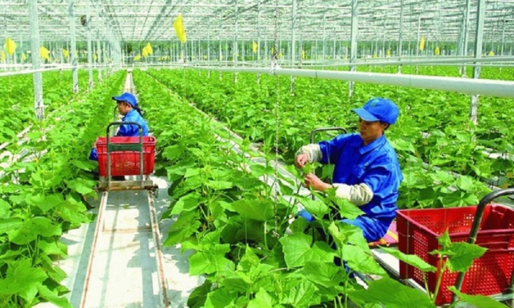 Thể chế hóa chủ trương của Đảng về nông nghiệp, nông dân, nông thôn trong Luật Đất đai 2024