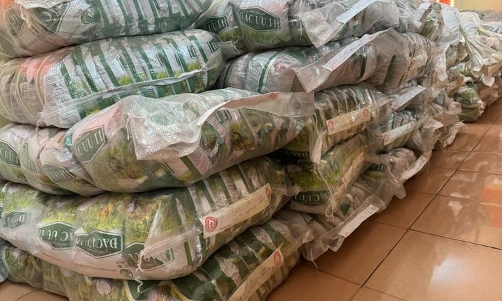 Lai Châu: Khởi tố kỹ sư nông nghiệp làm giả gần 4 tấn thóc giống