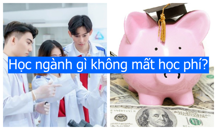 Tuyển sinh 2024: Học ngành gì không mất học phí?