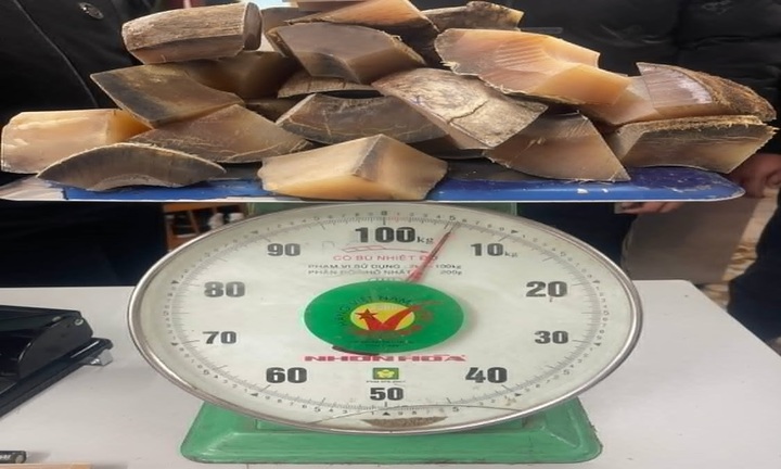Cao Bằng: Khởi tố đối tượng buôn bán vận chuyển 50kg vẩy Tê Tê Java, 5,4kg sừng Tê Giác