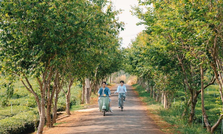 Á quân Vietnam Idol Lâm Phúc ra mắt MV đầu tay lấy cảm hứng từ mối tình thanh xuân của mình
