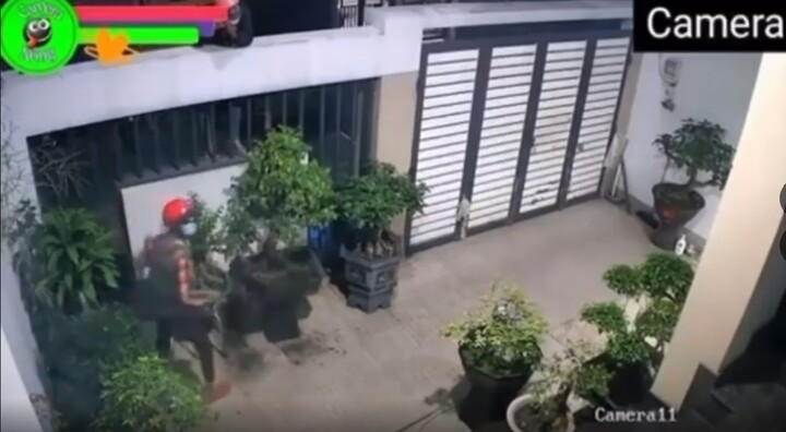 Hai đối tượng ăn cắp cây cảnh đắt tiền lúc nửa đêm