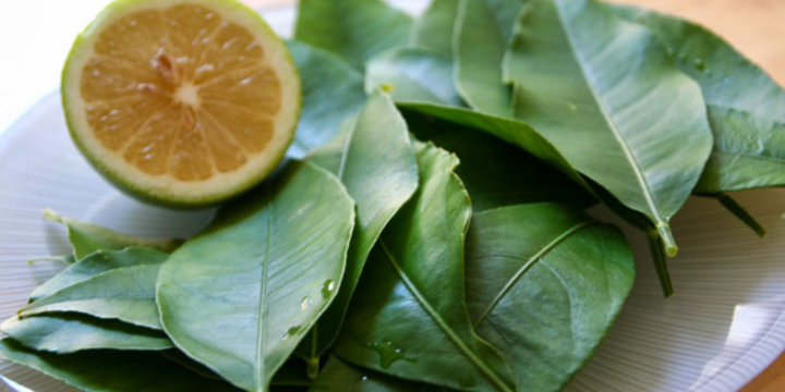 Lá chanh có tác dụng gì? Đọc ngay để biết những thông tin hữu ích nhất
