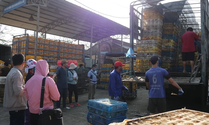 Ca mắc cúm A(H9/N2) đầu tiên tại Việt Nam: Quanh nơi bệnh nhân sống buôn bán gia cầm