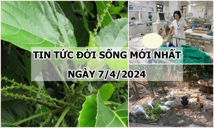 Tin tức đời sống ngày 7/4/2024: Người phụ nữ đột quỵ 2 lần trong cùng một ngày