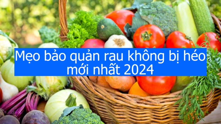 Mẹo bảo quản rau không bị héo mới nhất 2024