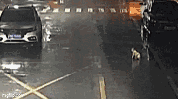 Video: Bé trai 6 tháng tuổi bò ra đường giữa trời mưa, hành động của tài xế kiến nhiều người bất ngờ