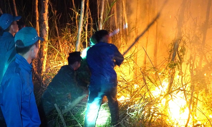 Huy động hơn 600 người trắng đêm dập tắt đám cháy tại rừng tràm ở Cà Mau