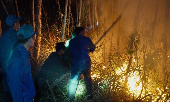 Vụ cháy tại Nông trường 402: Diễn biến mới nhất