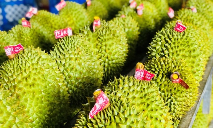 Lý do chưa công bố nguyên nhân 30 lô sầu riêng xuất sang Trung Quốc bị nhiễm cadimi