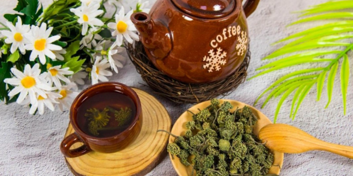 Uống nước hoa tam thất có tác dụng gì? Lưu ý khi sử dụng hoa tam thất