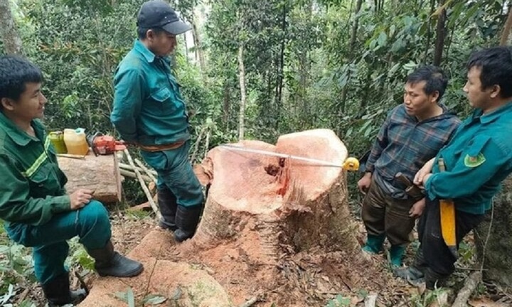 Tin thời sự nóng mới nhất ngày 15/4: Biên phòng mật phục bắt 5 đối tượng phá rừng ở biên giới