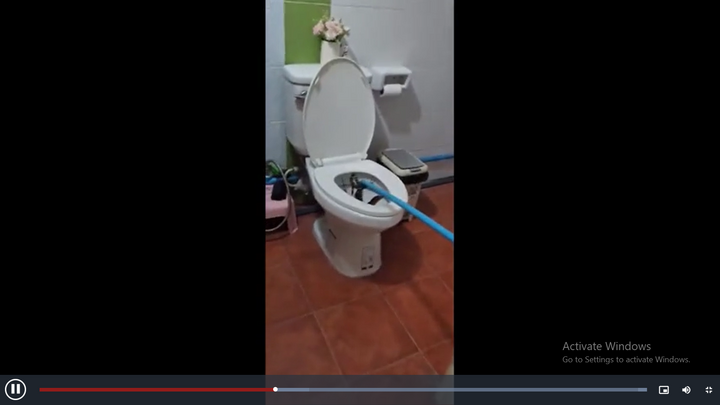 Mở nắp bồn cầu, người phụ nữ bủn rùn khi thấy con vật lạ