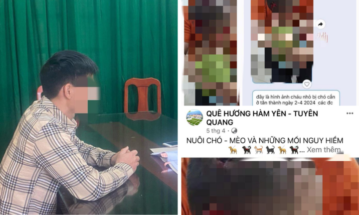 Chủ bị xử phạt vì để chó tấn công cháu bé 3 tuổi gây thương tích ở Tuyên Quang