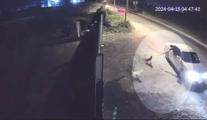 Xuất hiện clip 16 giây ghi cảnh trộm đi ô tô bắn chích điện bắt chó ở TP.HCM