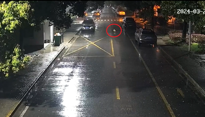 Thót tim cảnh em bé 6 tháng tuổi suýt bị ô tô tông trúng giữa đêm mưa