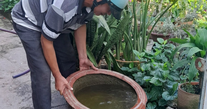 Tổn thương đa cơ quan, bệnh nhân 15 tuổi tử vong vì sốt xuất huyết