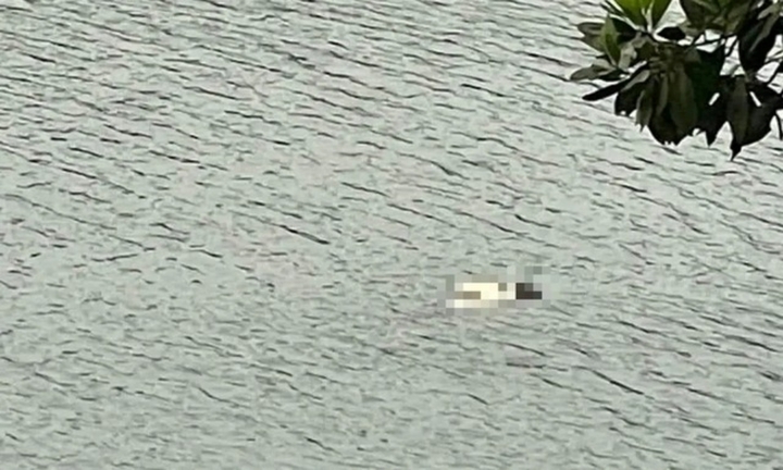 Thanh Hóa: Phát hiện thi thể cô gái nổi trên sông Chu 