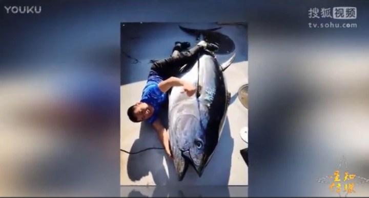 Nhóm ngư dân bắt được cá khổng lồ dài 3 mét, nặng hơn 450kg, giá hàng chục tỷ