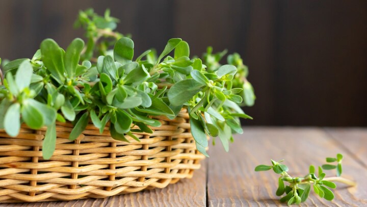 Loại rau mọc dại ai cũng coi thường, hóa ra là 