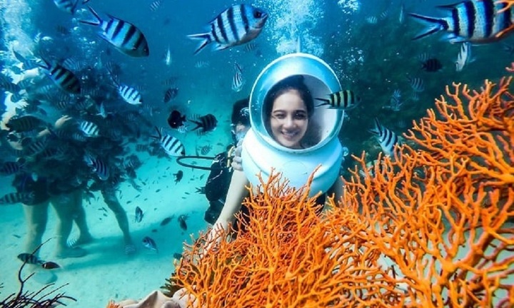 Tour đi bộ dưới biển Phú Quốc có gì đặc sắc mà khiến du khách mê mệt?