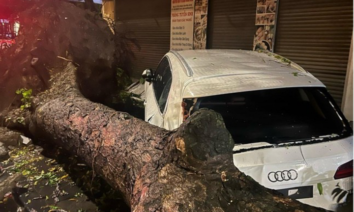 Hơn 400 cây xanh gãy đổ sau giông lốc, mưa đá ở Hà Nội
