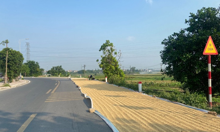 Người dân phơi thóc, gạo trên đường bị xử phạt như thế nào?