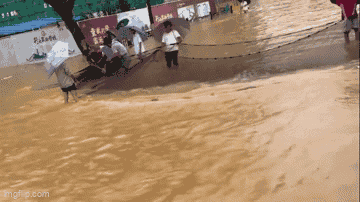 Video: Người dân thả lưới bắt cá trên đường phố sau trận mưa lũ