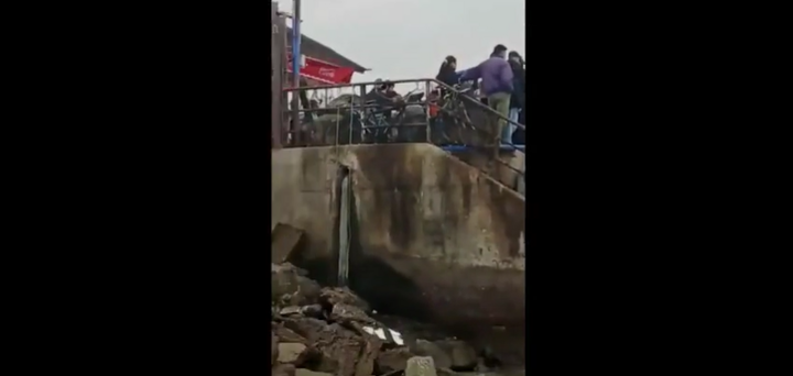 Cá mái chèo khổng lồ dài gần 5 mét