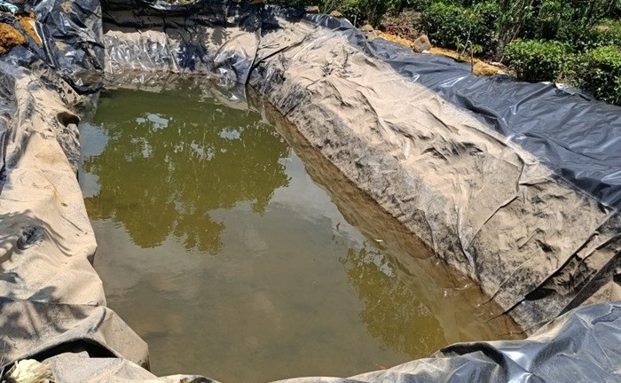 Lâm Đồng: Hai mợ cháu tử vong dưới hố chứa nước tưới cà phê