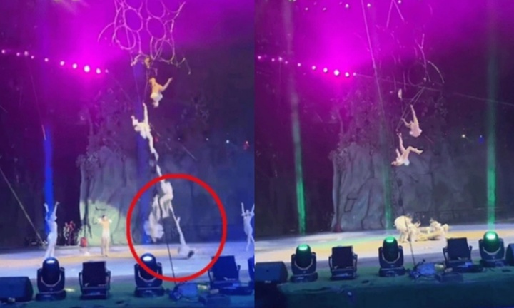 Nữ diễn viên xiếc tử vong sau tai nạn sân khấu kinh hoàng