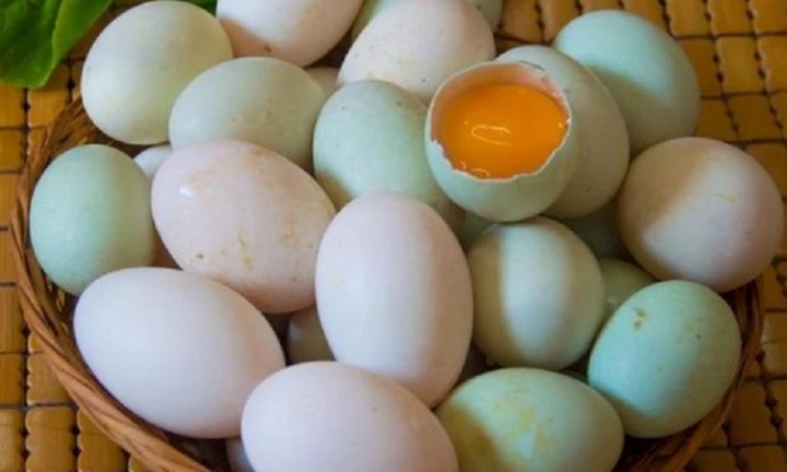 Nên mua trứng vịt vỏ trắng hay vỏ xanh?