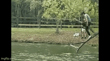 Video : Người phụ nữ liều lĩnh trèo ra cành yếu ớt, bất chấp nguy hiểm