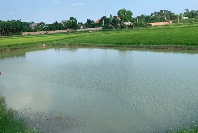 Đi tắm ao, hai học sinh lớp 8 đuối nước tử vong 