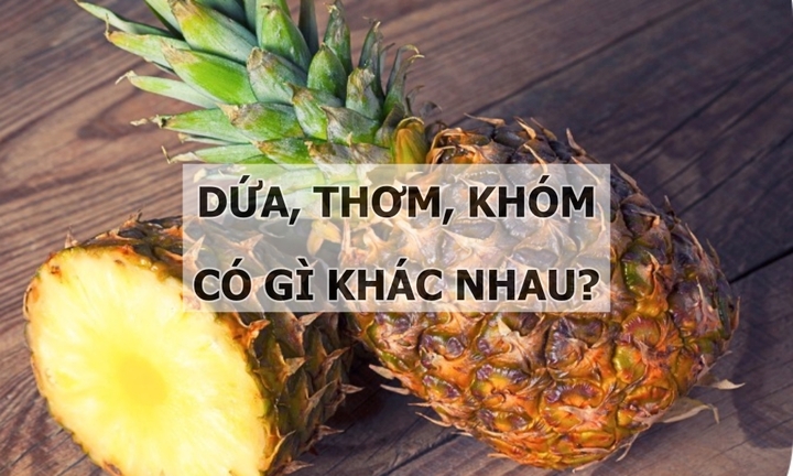 Dứa, thơm, khóm có gì khác nhau không?
