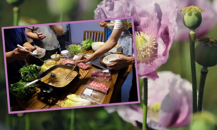 Người phụ nữ trồng 900 cây thuốc phiện trên mái nhà để... nhúng lẩu