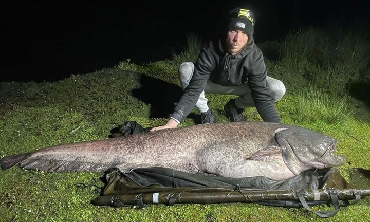 Video:  "Cần thủ " thót tim khi câu được cá da trơn nặng 65kg