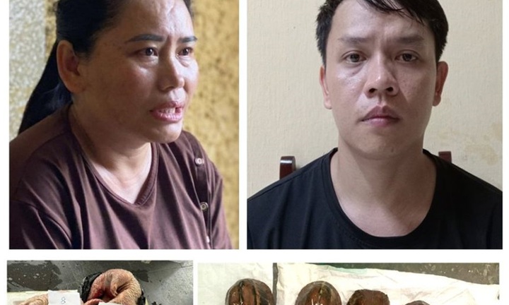 Triệt phá đường dây buôn bán động vật hoang dã, giải cứu nhiều cá thể quý hiếm